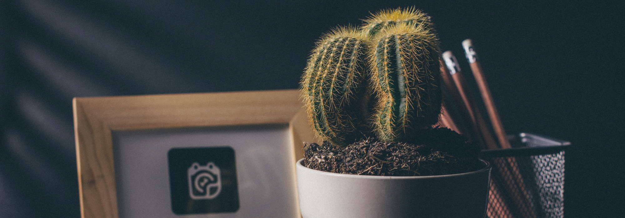 Quality Safety Technology